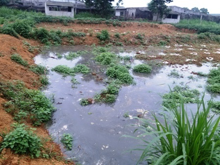 Hàng trăm người dựng lều bao vây trang trại lợn - 7 Đây là những bể lắng lọc nước thải.