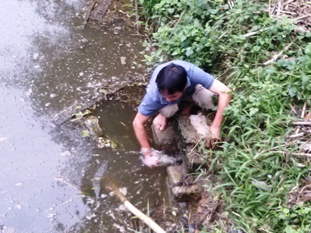 Hàng trăm người dựng lều bao vây trang trại lợn - 8 Hồ nước thải phía trong, sau khi tháo cống...