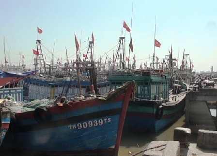 Việc phổ biến kiến thức giúp ngư dân hiểu và an toàn hơn khi hành nghề trên biển.