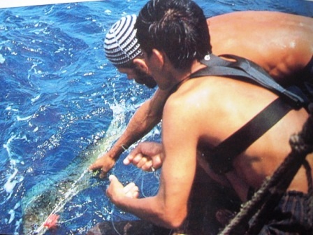 Hành trình 6 tháng bè tre Việt Nam vượt Thái Bình Dương