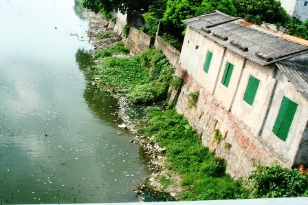 Nhiều nhà dân cạnh sông Nhuệ bị ảnh hưởng nghiêm trọng vì mùi cá chết