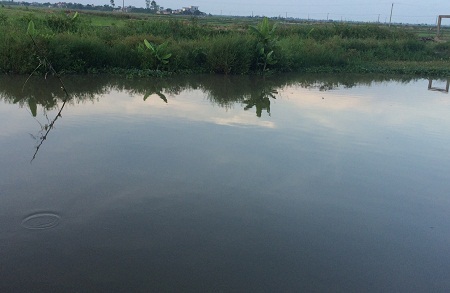 Nam sinh lớp 11 chết đuối khi đi mò trai - 1 Đoạn sông nơi Dũng bị đuối nước khi đi mò trai