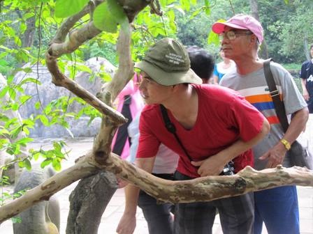 Nghệ sỹ Xuân Bắc cũng trực tiếp thử xem hiện tượng cây ổi cười