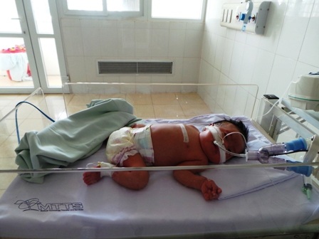 Cháu Vi Văn Hoàng Quân đã mất