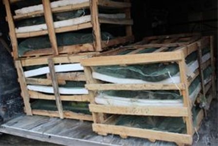 Bắt giữ 2 xe khách chở chim, 3 tấn vải không rõ nguồn gốc - 1 Tang vật vi phạm