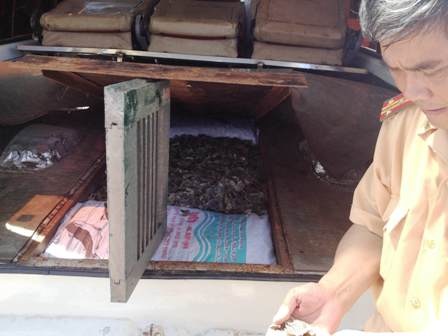 Phát hiện vảy tê tê