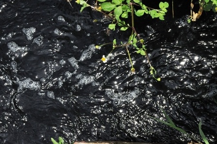  Dòng nước đen ngòm chảy ra kênh mương tưới tiêu của người dân