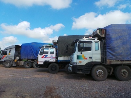 Những phương tiện vi phạm lỗi chở quá tải từ 200 - 280%.