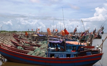 Tỉnh Thái Bình cấm tàu thuyền ra khơi ngày 15/9.