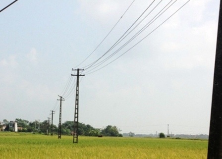 Đường dây điện 220KV đã không còn sử dụng, bỏ không gần 2 năm nay nhưng vẫn có điện.