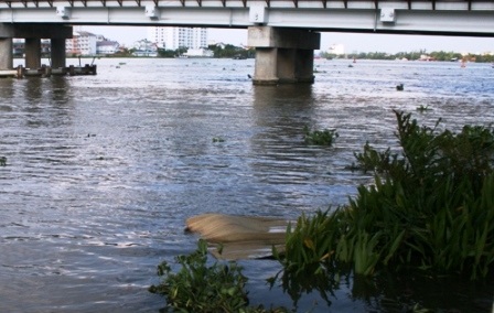 Tìm thấy thi thể cô gái trẻ nhảy sông Sài Gòn tự tử