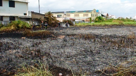 Hiểm họa khôn lường từ những vụ cháy cỏ 