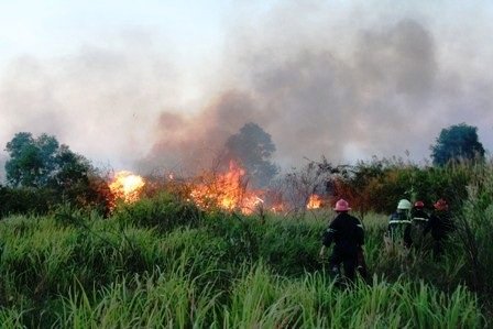 Hiểm họa khôn lường từ những vụ cháy cỏ - 2 Hiểm họa khôn lường từ những vụ cháy cỏ