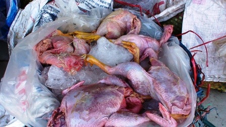 Bắt giữ gần 3 tấn thịt gà bốc mùi 