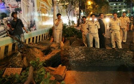 Cây cổ thụ bật gốc làm ùn tắc trung tâm thành phố - 1