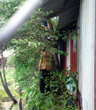 Phát hiện xác người đàn ông treo cổ trên cây - 1