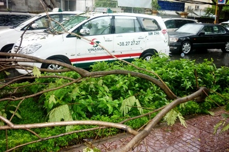 Hàng loạt sự cố xảy ra trong mưa đá - 2