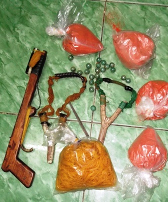 Băng trộm chó sa lưới “hiệp sĩ” SBC - 2