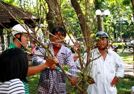 Khoảnh khắc cuối của chợ hoa Nhâm Thìn 2012 - 14