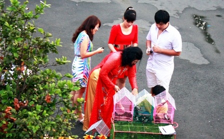 Nô nức lễ chùa đầu năm - 8