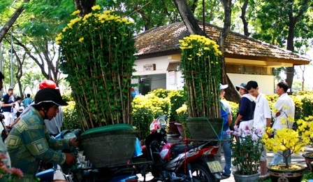 Khoảnh khắc cuối của chợ hoa Nhâm Thìn 2012 - 3