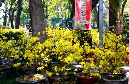 Khoảnh khắc cuối của chợ hoa Nhâm Thìn 2012 - 5