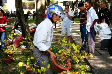 Khoảnh khắc cuối của chợ hoa Nhâm Thìn 2012 - 8