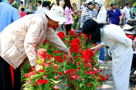 Khoảnh khắc cuối của chợ hoa Nhâm Thìn 2012 - 11