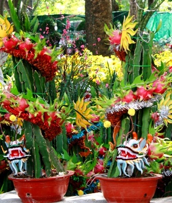 Năm Nhâm Thìn ngắm rồng trên phố - 13