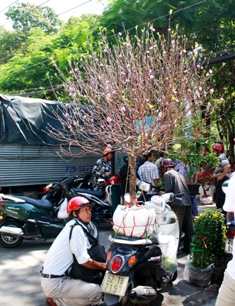 Khoảnh khắc cuối của chợ hoa Nhâm Thìn 2012 - 18