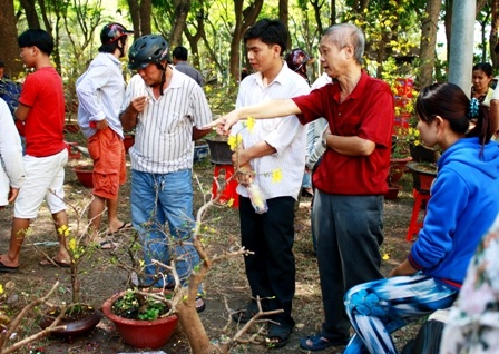 Khoảnh khắc cuối của chợ hoa Nhâm Thìn 2012 - 7