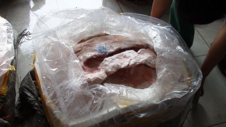 Hàng chục tấn thịt “bẩn” đang tuồn vào thành phố bị bắt giữ