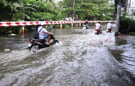 Triều cường bắt đầu dâng cao tại khu vực bến Phú Định (quận 8)