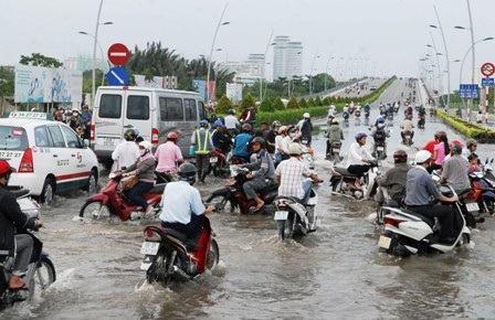 Các phương tiện quay cuồng trong nước