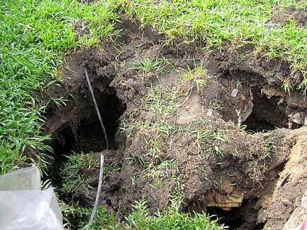 “Hố tử thần” tái xuất trên vỉa hè đường Hoàng Sa - 2 Hố tử thần khá sâu và có hàm ếch khoét rộng