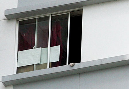 Cửa sổ tầng 15, nơi bé L.A nhào qua rơi xuống đất tử vong