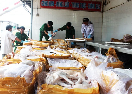 Bắt giữ hai xe khách chở 1,5 tấn thịt “bẩn” - 1 Hơn 1,5 tấn thịt “bẩn” đang trên đường tuồn vào thành phố bị thu giữ