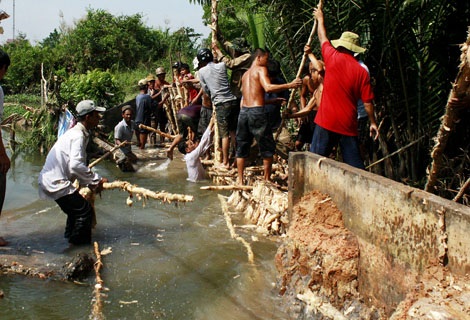 “Chạy lụt” giữa đêm vì đê bao bị vỡ - 1 Mọi người đang cố gắng chặn dòng nước tràn vào khu dân cư từ đoạn đê bao bị bể kéo dài 12m