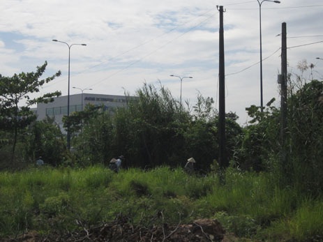 Mọi người tìm vàng mà tên cướp ném lại