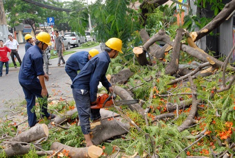 Lực lượng chức năng xử lý hiện trường