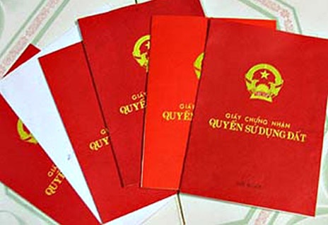 Rồng rắn đi trả "sổ đỏ" vì thiếu tiền nộp thuế đất - 1 Rồng rắn đi trả sổ đỏ vì thiếu tiền nộp thuế đất