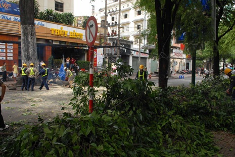 Cành cây cổ thụ rơi xuống đường suýt đè trúng hai người đi xe máy