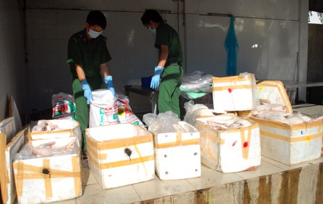 Heo “lậu” được phát hiện trên xe khách chất lượng cao sáng 3/6