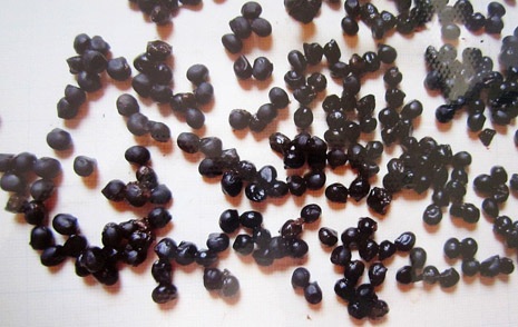 Những hạt đen kỳ lạ được tìm thấy trong quan tài 