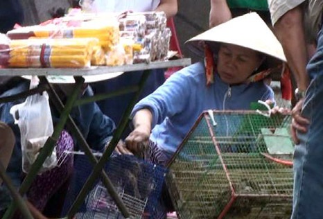 Mánh "độc" bán chim phóng sinh kiếm bạc triệu - 5 Đội ngũ bán chim phóng sinh kiếm bạc triệu mỗi ngày