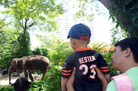 Trẻ em được bố mẹ cho đi chơi ngày lễ