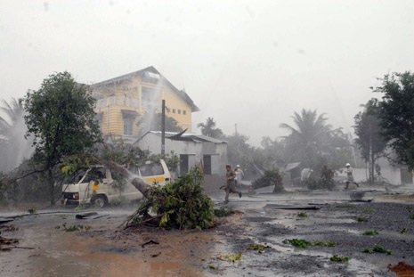 Một cây cổ thụ bật gốc đề ngang xe du lịch, 2 người mắc kẹt