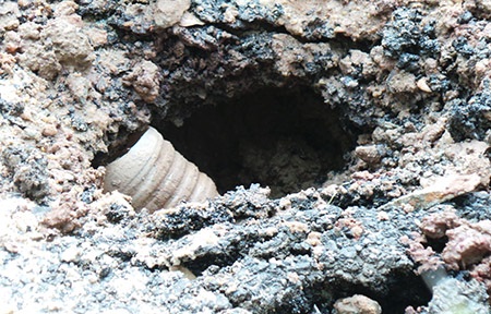 Lúc 8h15 phút sáng nay, một số tiếng nổ vẫn vang lên từ chiếc hố kỳ lạ