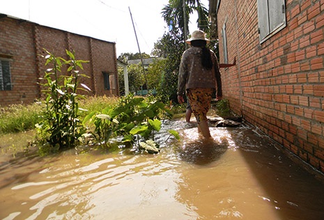 Nước bao phủ khắp nơi