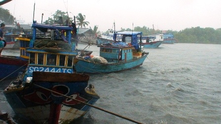 Tàu đánh cá neo đậu tại bờ biển Cần Giờ tránh bão